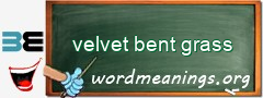 WordMeaning blackboard for velvet bent grass